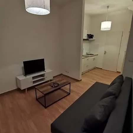 Au Cœur Du Quartier Historique Appartement